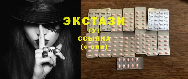 стаф Алексин