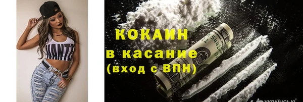 сатива Алексеевка