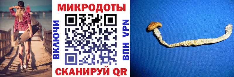 Псилоцибиновые грибы ЛСД  Задонск 